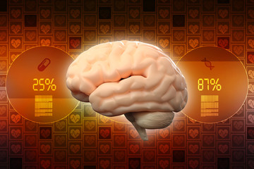 Human brain 3d illustration
