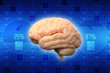 Human brain 3d illustration
