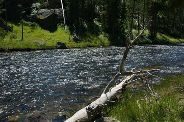 Yellowstone National Park