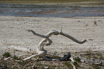 Yellowstone National Park