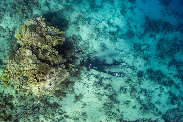 freediver photographer in action!