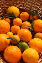 oranges and tangerines in a basket