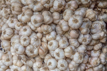 close up of garlic on market