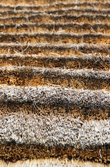 Traditional African thatched roof consisting of harvested native grasses.