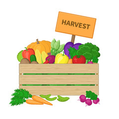 Harvest in a wooden box with board. Crate with autumn vegetables. Fresh Organic food from the farm. Vector colorful illustration of the autumn harvest isolated on white background.