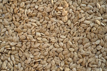 Pumpkin seeds