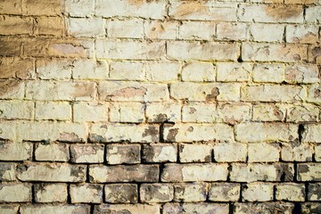 Painted brick wall
