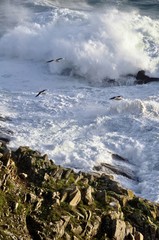 mer forte en bretagne
