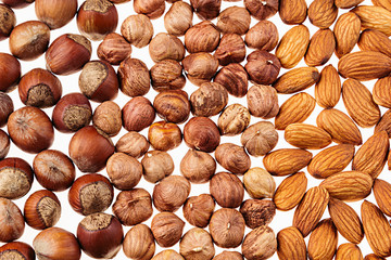 Nut background of different nuts - almond, hazelnut and kernel close-up.  Vegetarian background.
