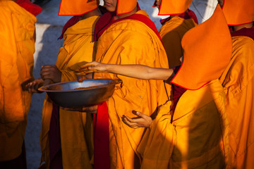 Living in a Buddhist monastery
