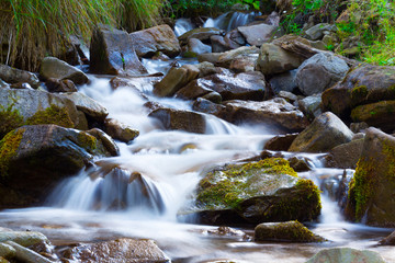 Fototapeta na wymiar Mountain stream(creek) in the stones and green grass banks in mountain forest. Crystal clear water - rare condition of modern enviroment. Long exposure.