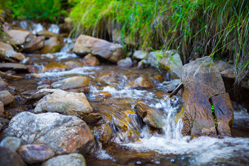 Mountain stream(creek) in the stones and green grass banks in mountain forest. Crystal clear water - rare condition of modern enviroment. Long exposure.