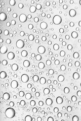bw photo water drops of on treat water-repellent surface in macro lens shot small-DOF for screen wallpapers