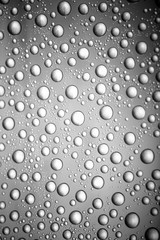bw photo water drops of on treat water-repellent surface in macro lens shot small-DOF for screen wallpapers