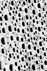 bw photo water drops of on treat water-repellent surface in macro lens shot small-DOF for screen wallpapers