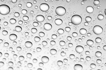 bw photo water drops of on treat water-repellent surface in macro lens shot small-DOF for screen wallpapers