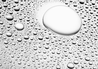 bw photo water drops of on treat water-repellent surface in macro lens shot small-DOF for screen...