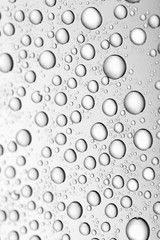 bw photo water drops of on treat water-repellent surface in macro lens shot small-DOF for screen wallpapers