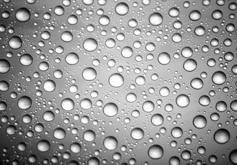 bw photo water drops of on treat water-repellent surface in macro lens shot small-DOF for screen wallpapers