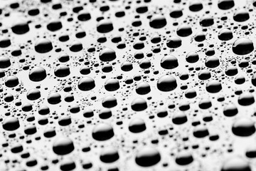bw photo water drops of on treat water-repellent surface in macro lens shot small-DOF for screen...