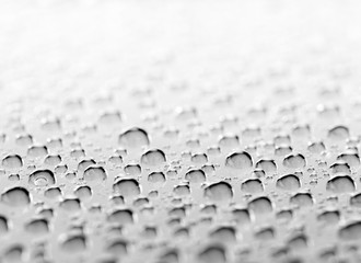 bw photo water drops of on treat water-repellent surface in macro lens shot small-DOF for screen...