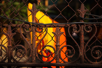 Living in a Buddhist monastery
