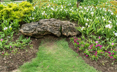 Obraz premium Part of garden