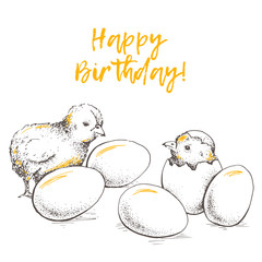 Greeting card of chick peeking out of eggs. Happy Birthday. Sketch illustration. Graphics, handmade drawing chick with eggs. Chicken vector image. Vintage engraving style. - 127040327