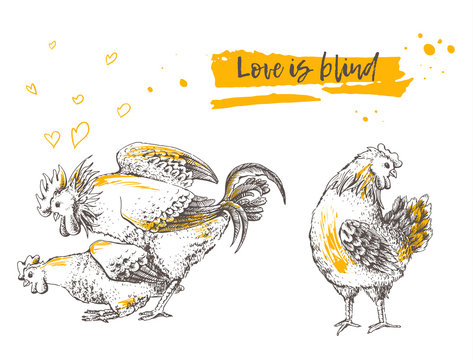 Mating of a rooster and hen. Brood-hen shyly turned her head. Postcard handmade illustration. It may be used for funny greeting card. Hand drawn picture. Vector illustration for your design.