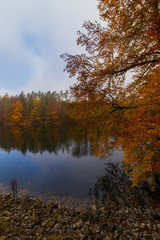 Autumn colours at a lake