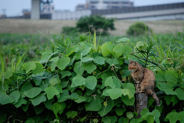 いつもここにいる