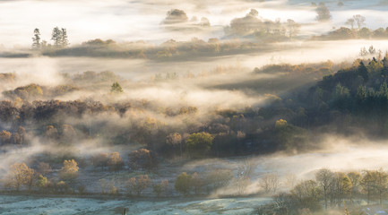 Lingering morning mist over woodland forest in the Lake District.