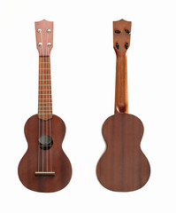 Obraz premium Ukulele.