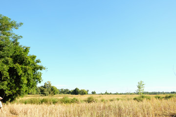 Obraz premium blue sky