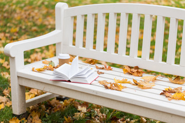 open book and coffee cup on bench in autumn park