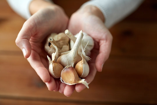 woman hands holding garlic