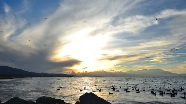 g&ouml;lde g&uuml;nbatımı vakti martılar ve insanlar