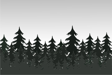  Coniferous forest. 