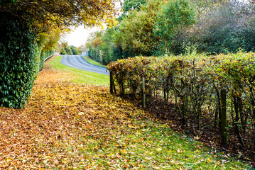UK Motorway in Autumn