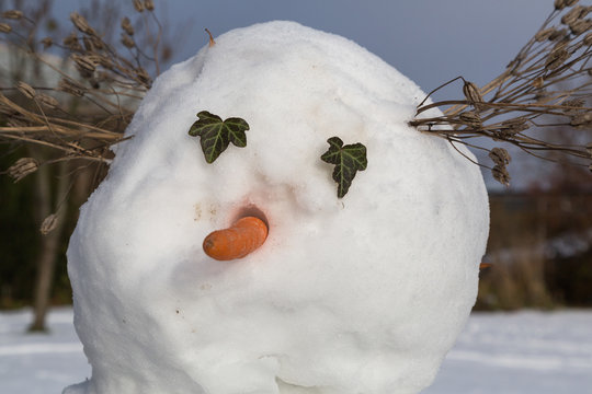 Sn&ouml;gubbe med mortsn&auml;sa och &ouml;gon av murgr&ouml;na