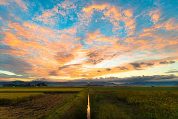 広がりのある朝焼け風景