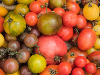Background of a stacked multicolored tomato. Multicolored tomato pattern. Picture of the red, yellow, brown and green tomato.