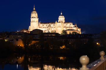 Salamanca Cathedral  in autumn  night