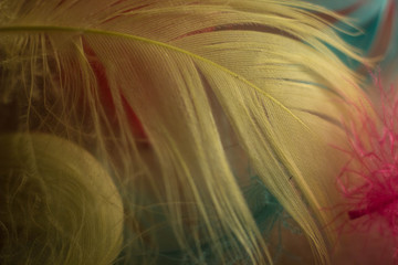 Новый год рождество чудо праздник отдых развлечение надежда игрушки