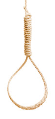 noose