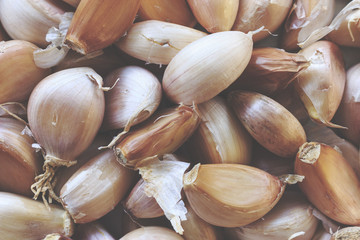 garlic background. over light and retro tone