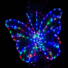 Butterfly of the blue diode lights lit (Singapore)