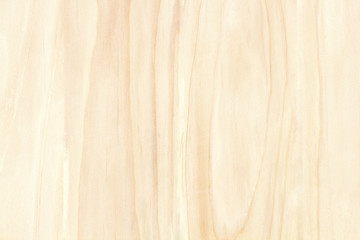 Texture of wood background closeup