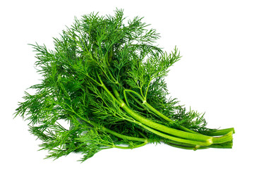 Fresh Juicy Dill Isolated on White Background