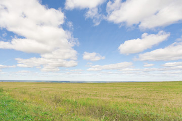 Field with green grass under a blue sky with clouds